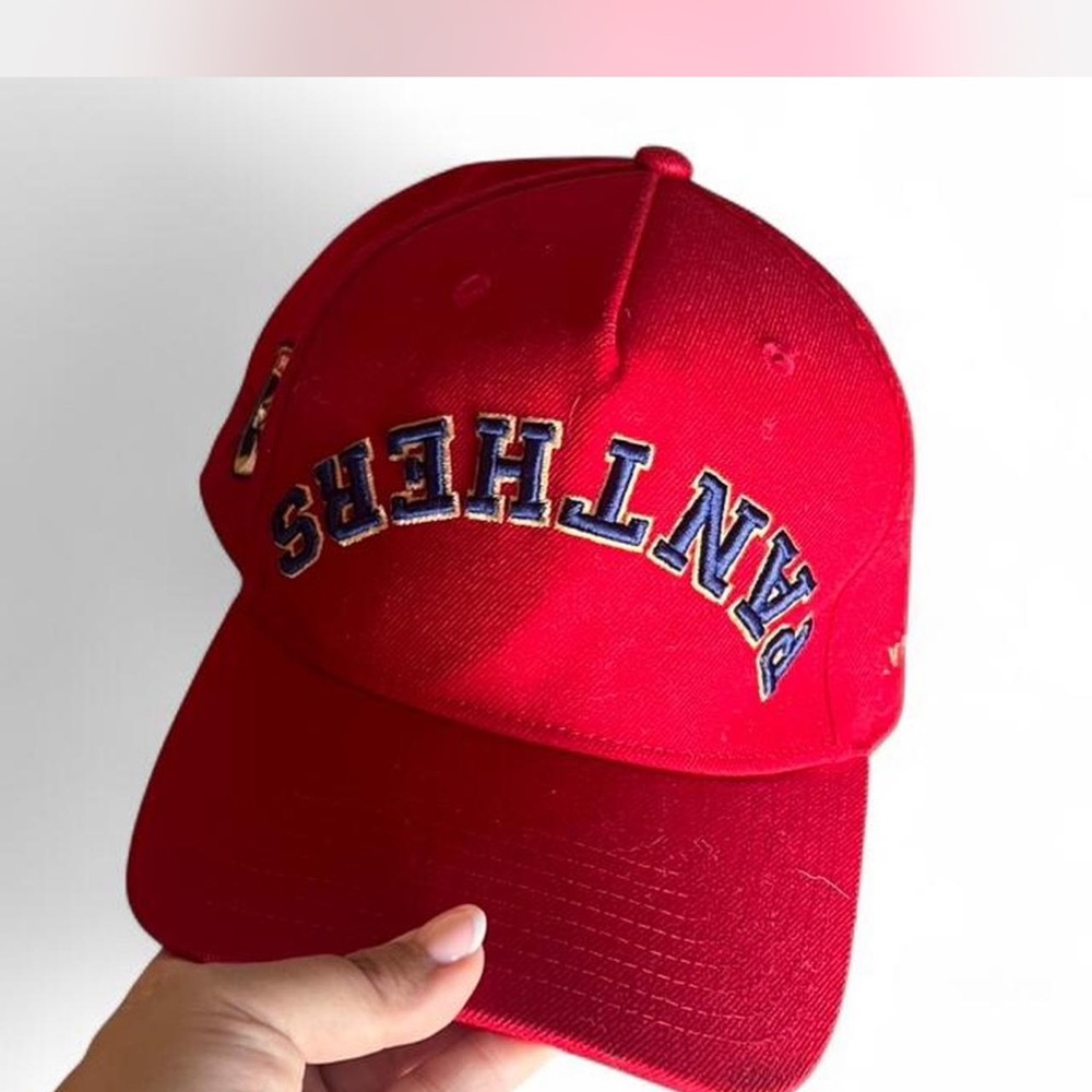 NHL Red Panthers Men's Cap